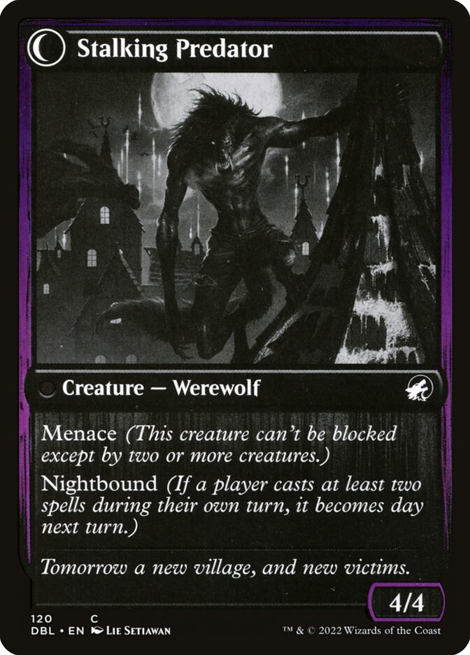 Shady Traveler (Back)